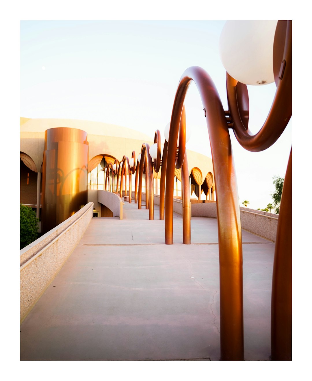 Universidad de Arizona